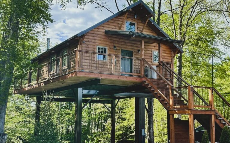 Treehouse C whole cabin