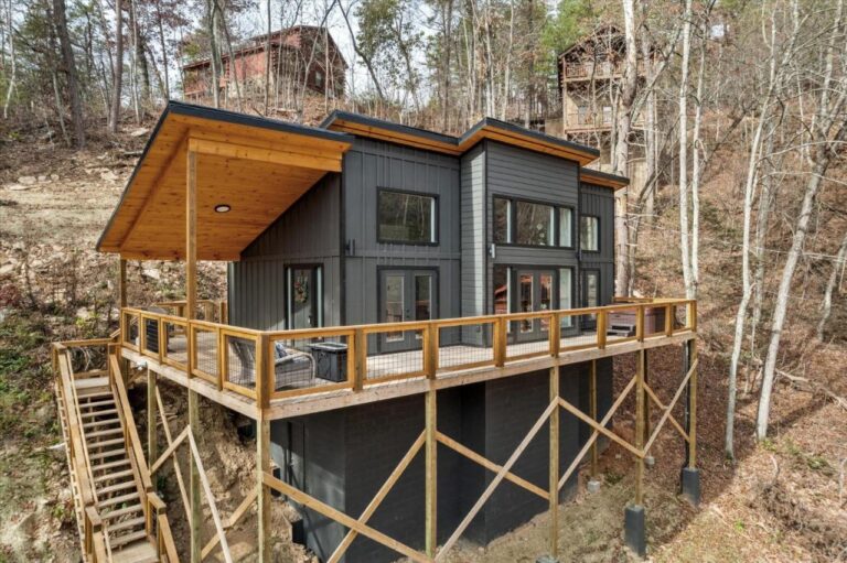 along the tree top cabin whole cabin