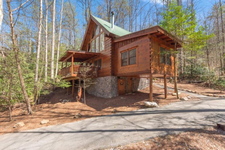 bear trail treehouse whole cabin