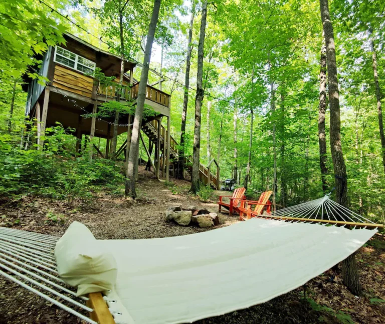 dove treehouse picnic area