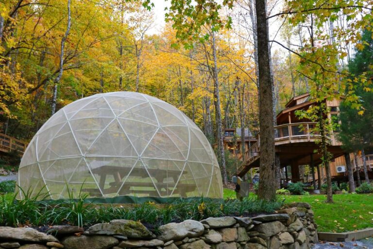 the poplar treehouse picnic domes
