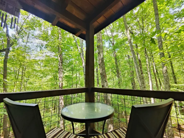 humming bird treehouse deck