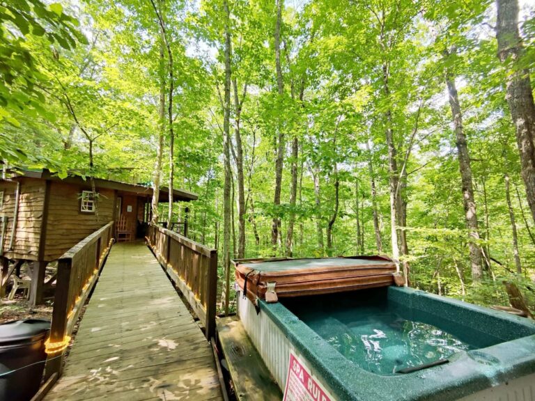 humming bird treehouse hot tub