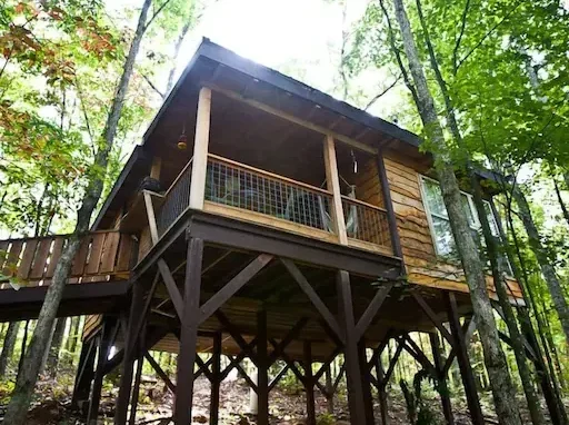 humming bird treehouse whole cabin