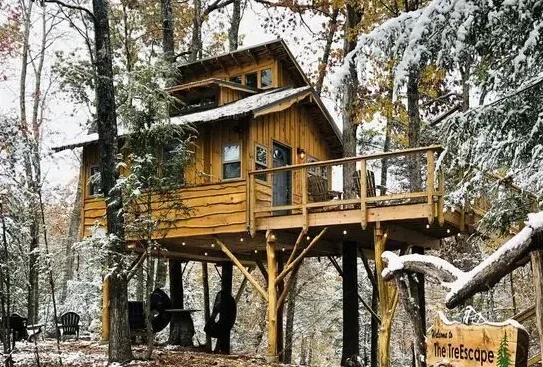 luxury cabin of the DIY guys whole cabin
