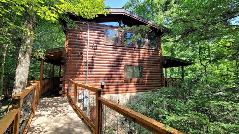 mountatin joy whole cabin