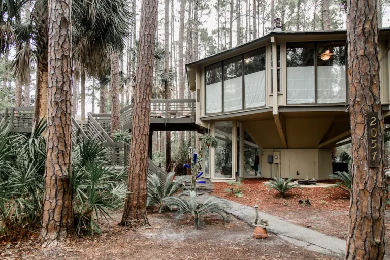 peacefull treehouse2