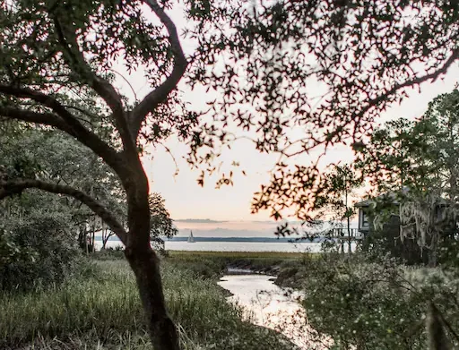 peacefull treehouse4