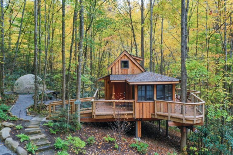 the maple cabin