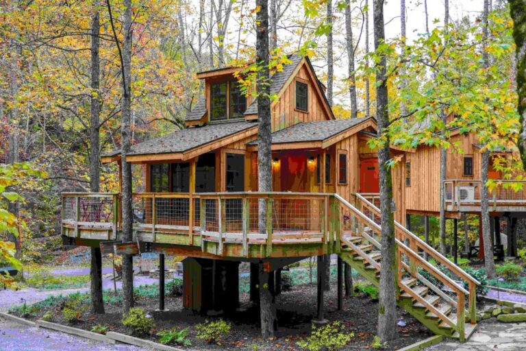 the poplar treehouse whole cabin