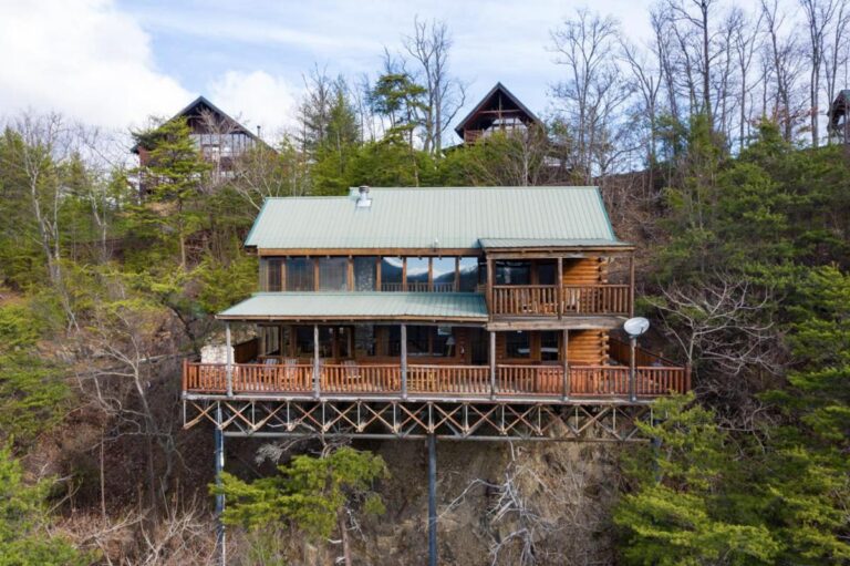treetop oasis whole cabin