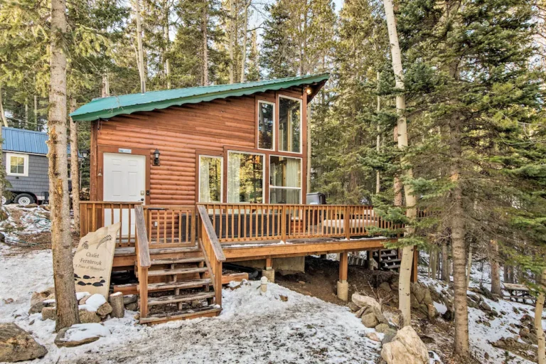 Idaho Springs Cabin3