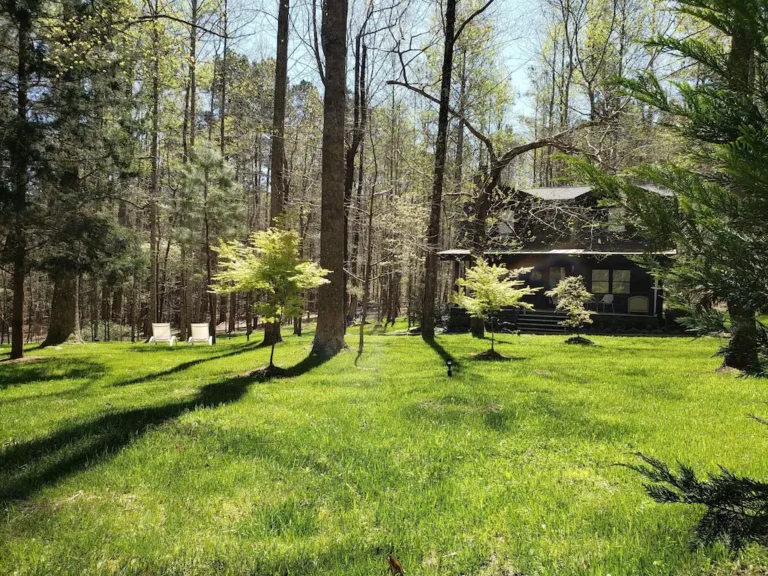 Exploring the Best 18 Treehouse Cabins in and near Atlanta