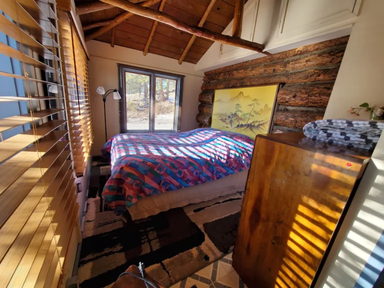 1900's Log Cabin 1