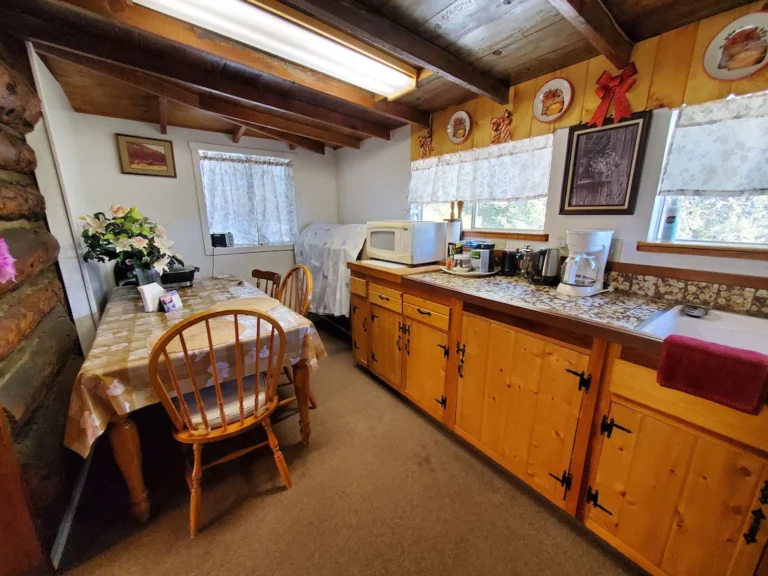 1900's Log Cabin 2