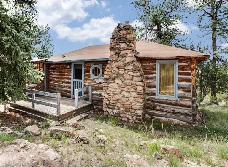 1900's Log Cabin 3