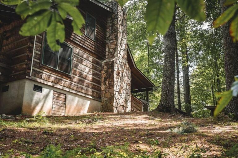 North Creekside Overlook Cabin3