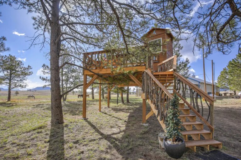 Treehouse-Mountain-Views-Unique-Ranch-Experience-2.jpeg