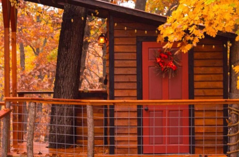 ca661d0f-6916-4363-a29c-093ae1691cbc