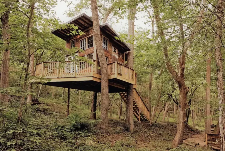 db6dd980-5ea3-40f6-aa97-33177e96ca6c