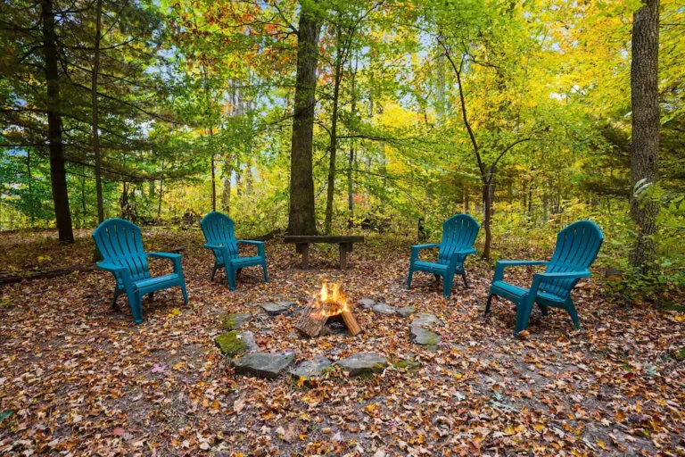 Chicory Cliffs fire pit