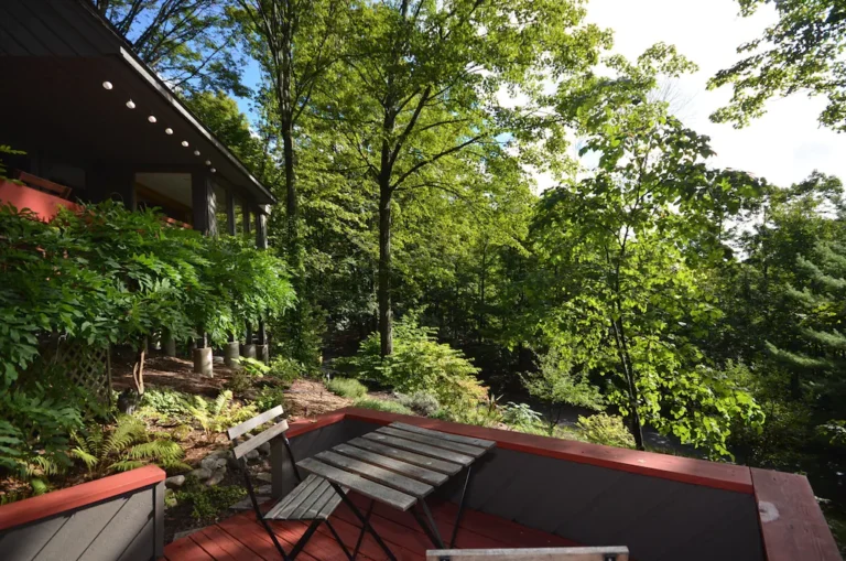 suttons bay cabin2