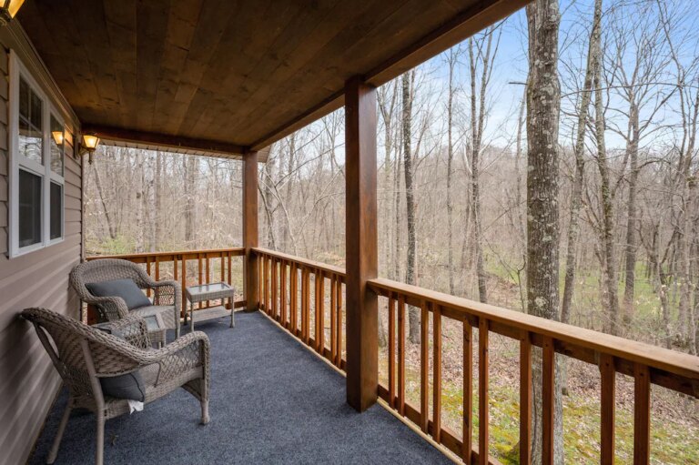 NEW-Tiny-Home-Pet-Friendly-on-5-Acres-of-Seclusion2.jpeg