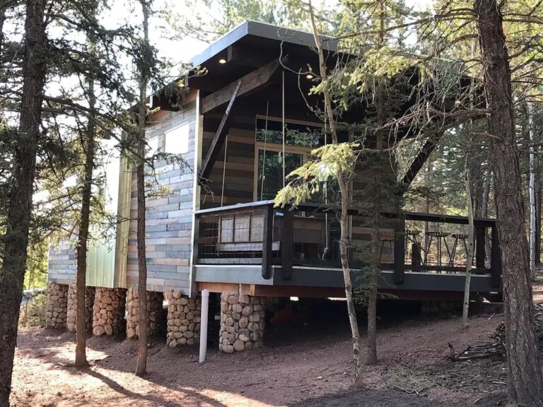 Rock-Rest-Eco-Cabin-on-2-acre-forested-lot.-Mins-from-Wolf-Wildlife-Sanctuary.2.jpeg