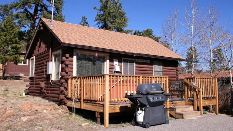 Cabin with Mountain View 3