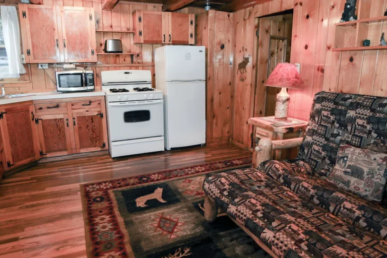 Cabin with Mountain View