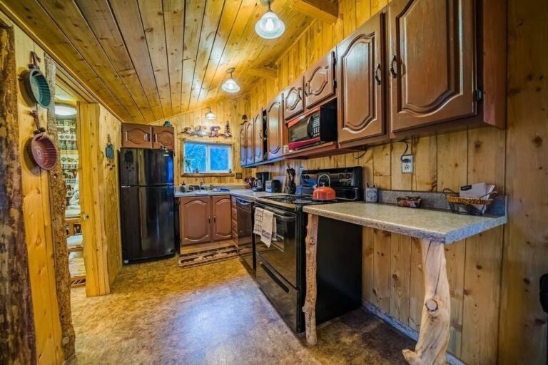 Historic downtown cabin4