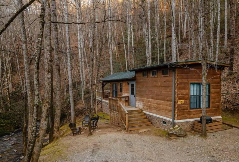 Log Cabin Tiny Home1