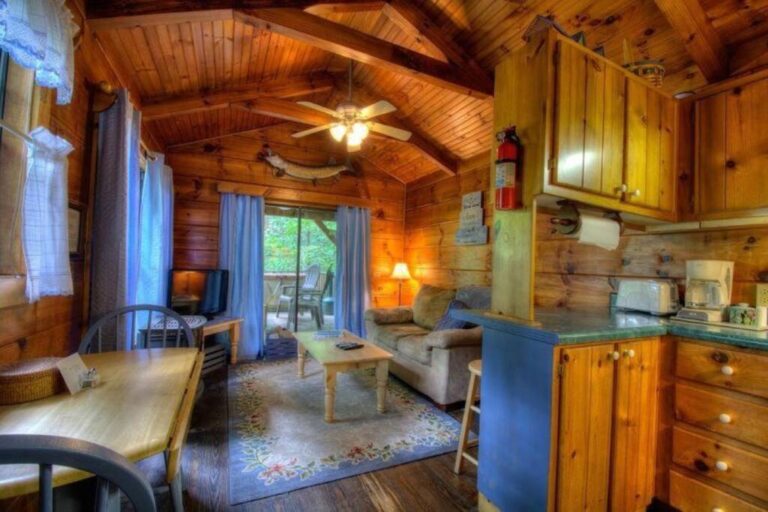 Log Cabin Tiny Home2