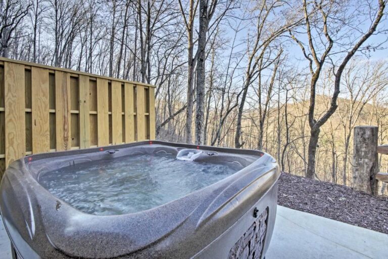 Scenic Cabin 2