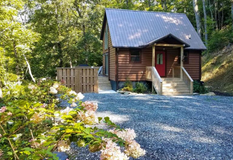 Scenic Cabin